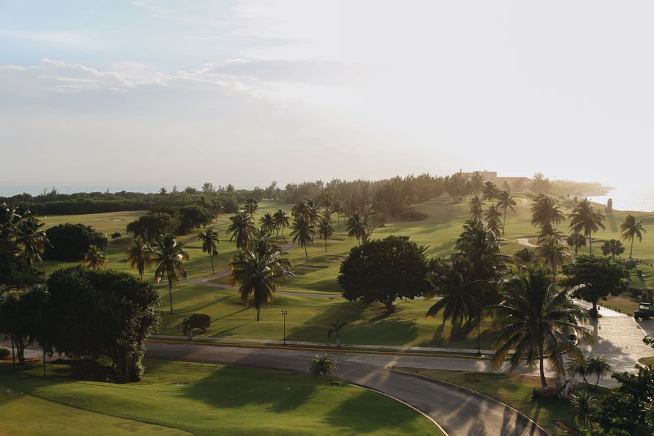 golf course with palm trees and sea view