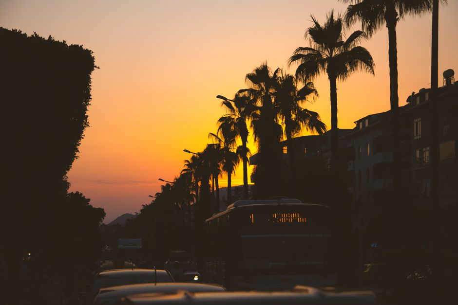 Antalya airport terminal exterior with palm trees