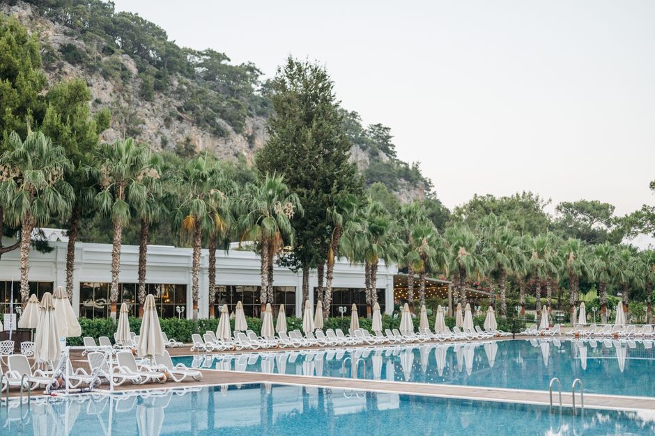 resort pool area with palm trees